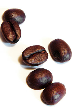 coffee beans