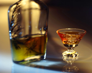 schnaps1