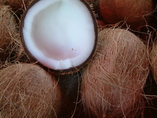 noix de coco 03