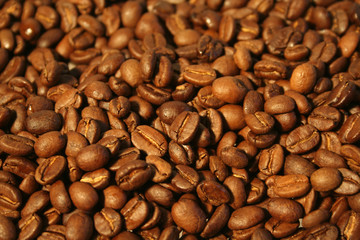 kaffeebohnen röstfrisch