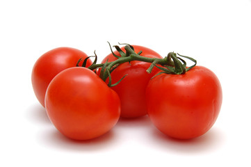 four perfect tomatoes