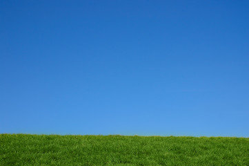 Fototapeta premium grassy hill