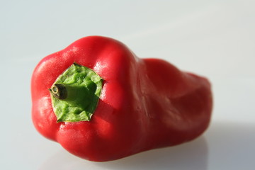 paprika