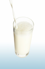 milk