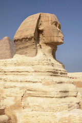 egyptian sphinx