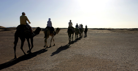randonneurs et chameaux dans le désert