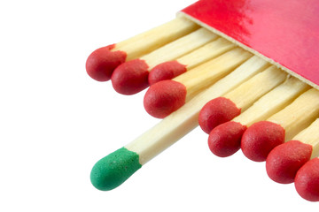 group leader