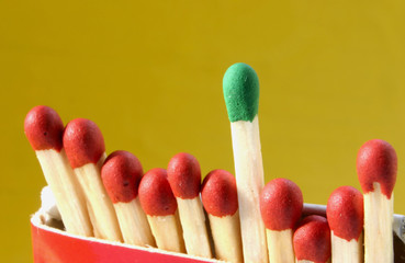 group leader