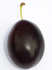 pflaume