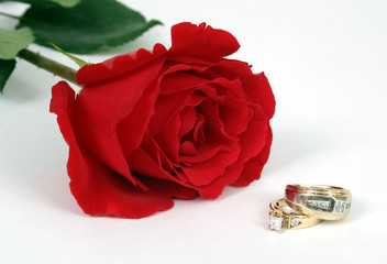 rings with rose