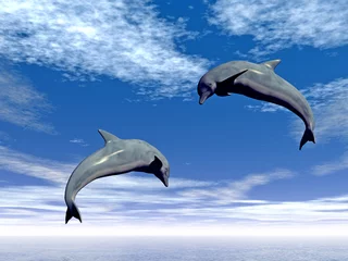 Gordijnen jump_dolphin2 © Sergey Tokarev