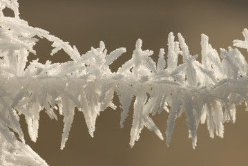 givre