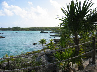 Fototapeta na wymiar caribbean coast