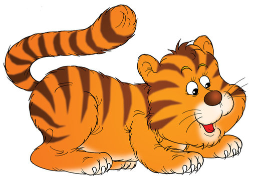 Fototapeta tiger