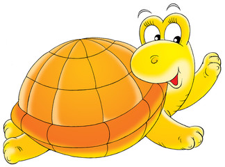 turtle