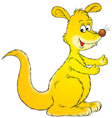 kangaroo