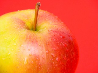 fresh apple
