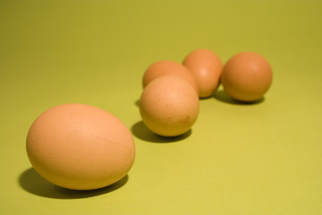 eggs on fresh green background