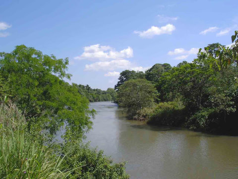 argentine le fleuve iguacu