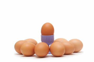 eggs