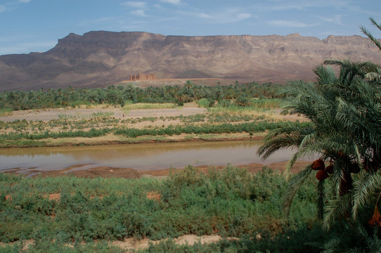 paysage marocain