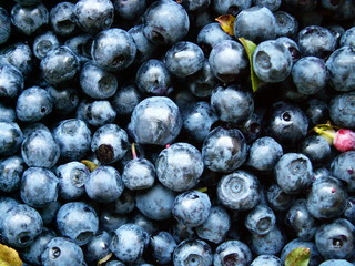 blueberries