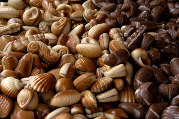 shell shellfish chocolate truffle