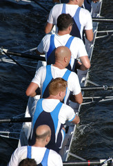 rowing team © Vladimir Wrangel