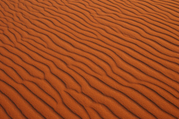 sahara desert