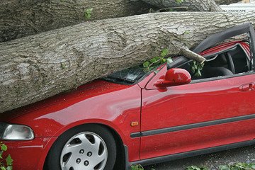 car destroyed