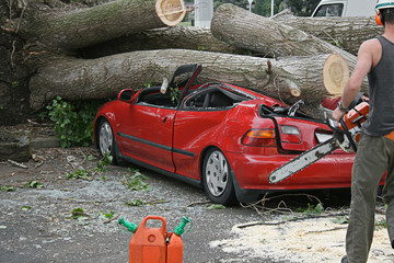 chainsaw rescue