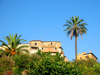 Typical Mediterranean architecture. Houses on the hill with palm trees. Blue sky background with copy space.