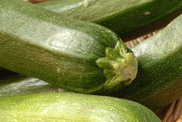 les courgettes