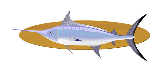 swordfish