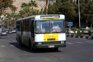 bus on the street