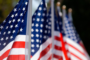 american flag display in honor of veterans day