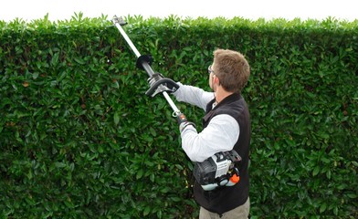hedge trimming