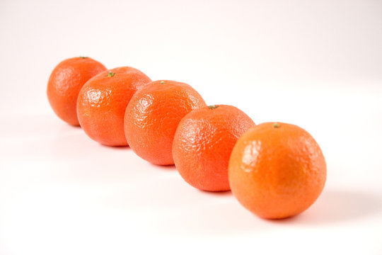 agrumes 4