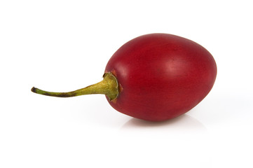  tamarillo  cyphomandra betacea