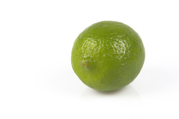 lemon  citrus aurantifolia