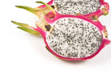 pitahaya red  hylocereus polyrhizus