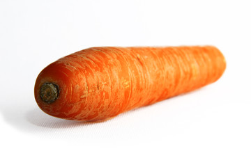 carrot