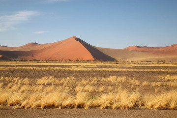 Fototapeta na wymiar strona Sossusvlei w Namibii