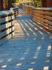 wooden boardwalk