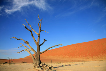 le site de sossusvlei en namibie