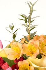 tulips, carnations & roses