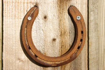 lucky horse shoe on a wooden background.