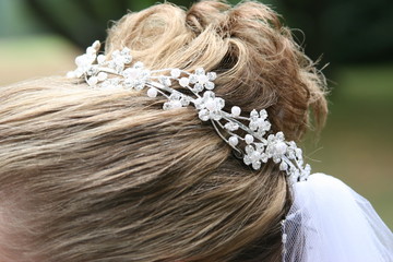 bride hair up do tiara veil woman girl lady © Paul Retherford