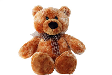 teddy bear