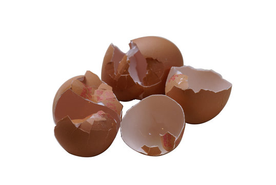 coquilles